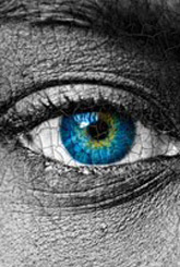 e oreiro entato leia