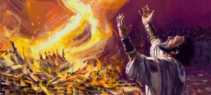 eliaiseofogo-465x210