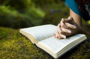 Imagem-de-Rafael-Martins-Dept.-Web-Portugal10