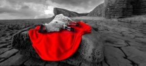 sacrificioovelha-465x210