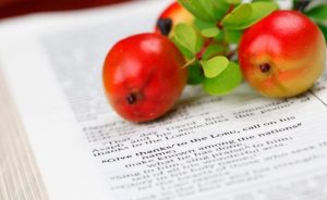 alimentos-transgenicos