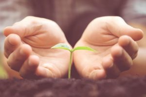 shutterstock_420894184-706x471-1