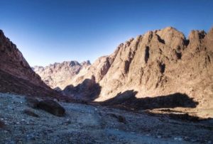 monte_sinai