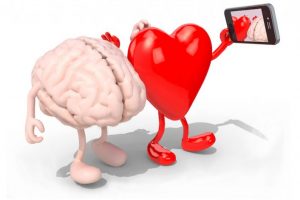 shutterstock_238334338-706x471