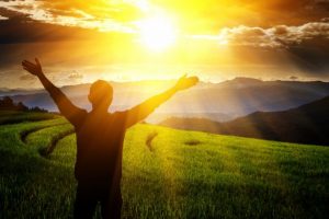 shutterstock_521761342-706x471-1