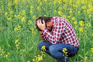 shutterstock_418364017-706x471