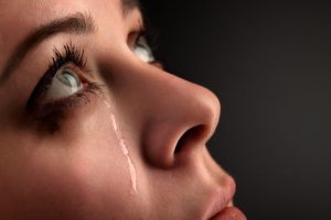 shutterstock_98479565-706x471