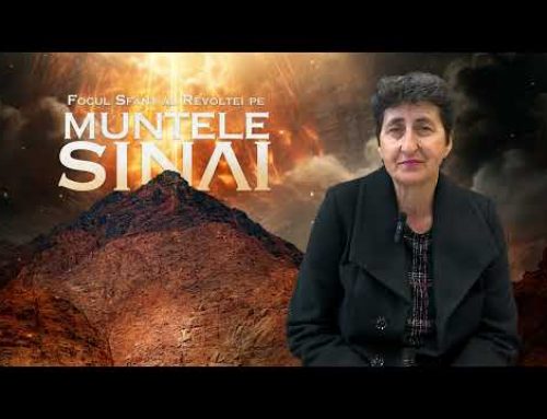 Focul Sfânt al Revoltei – Coman Ana